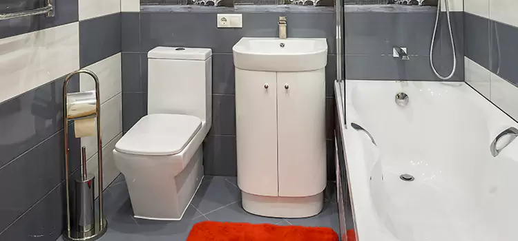 Hansgrohe Shaving Mirror Altadena